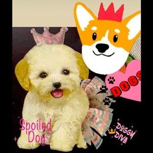 Instant Pet Princess Tutu Dog costume